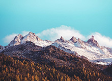 九游登录入口-5场比赛仅胜1场，申花8月战绩低迷致歉球迷，网友留言：说再多不如行动，加油吧